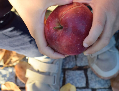 Quartalswechsel: Farbenfroher Herbst!